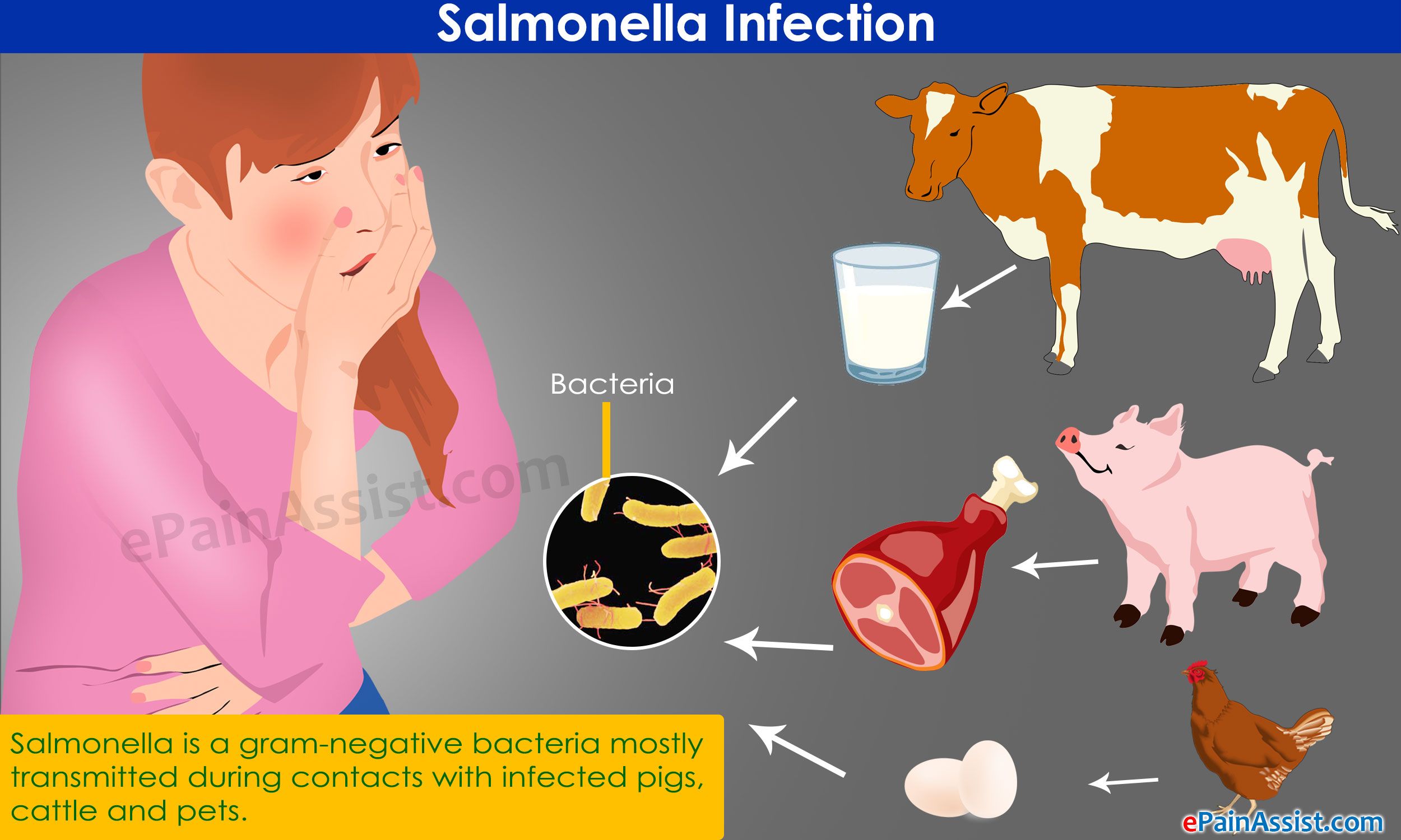 Источник инфекции при сальмонеллезе